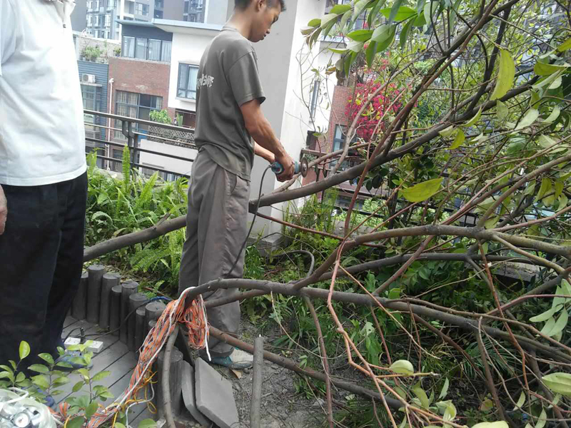 屋頂花園怎么裝修，樓頂花園裝修注意事