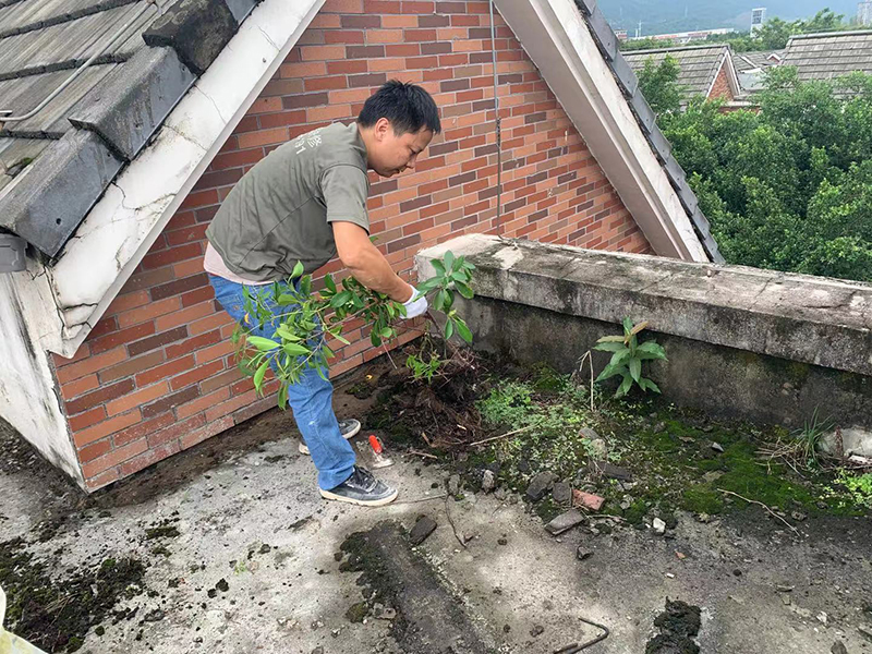 遼陽室內裝修公司哪家好_遼陽住宅室內