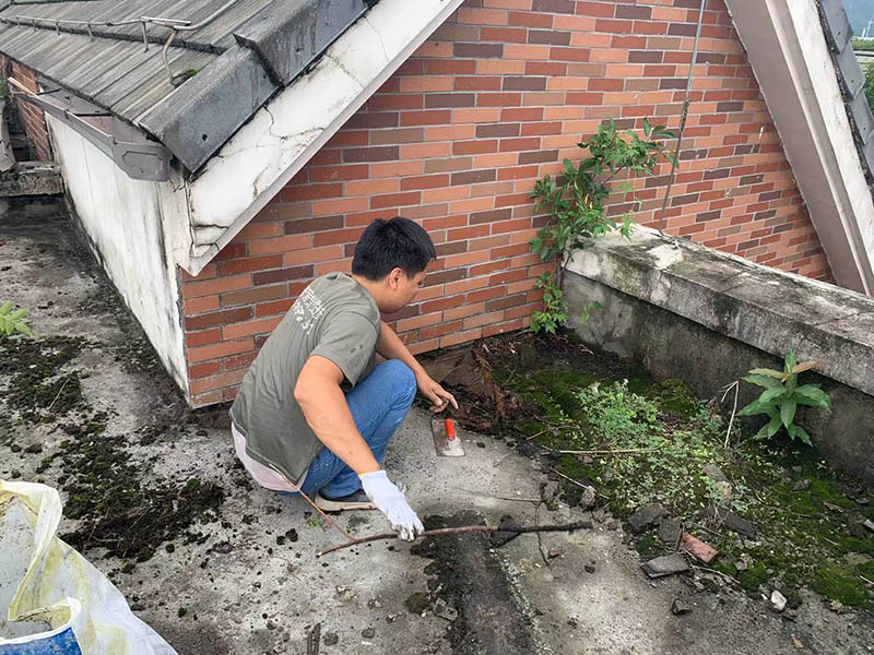 樓頂花園改造臥室效果怎樣？